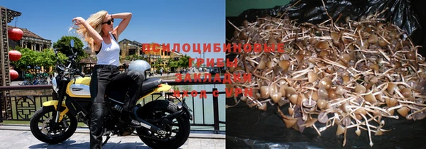 хмурый Рославль