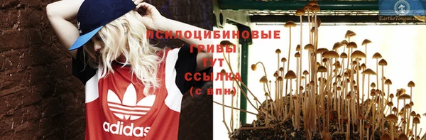 каннабис Арсеньев